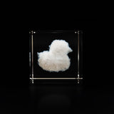 FLOWING WHITE CLOUD Duck, Cute Duck Crystal, Lightweight Clear Charm Décor, Kids Room Toy Best Crystal Cube Gift For Toddler