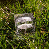 Crystal Rain Umbrella cube