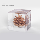 Elegant Pine Cone in Crystal Clear Resin Cube