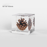 Elegant Pine Cone in Crystal Clear Resin Cube