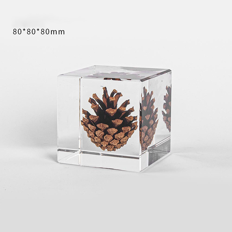 Elegant Pine Cone in Crystal Clear Resin Cube