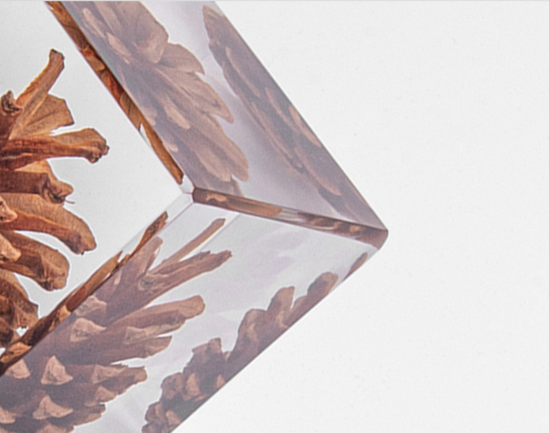 Elegant Pine Cone in Crystal Clear Resin Cube