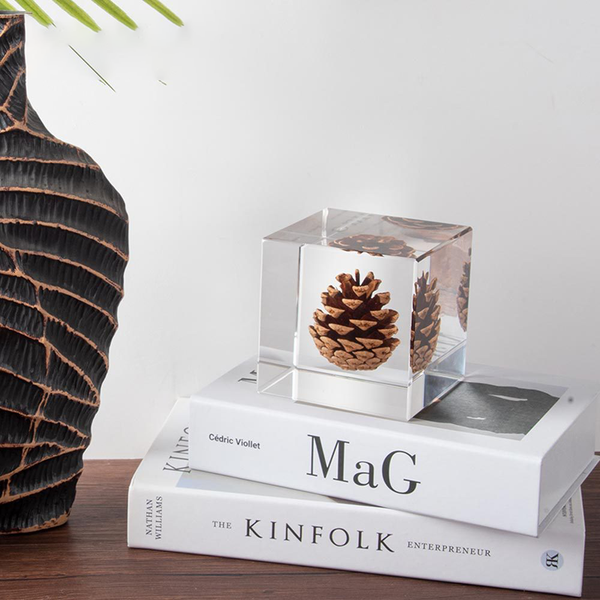 Elegant Pine Cone in Crystal Clear Resin Cube