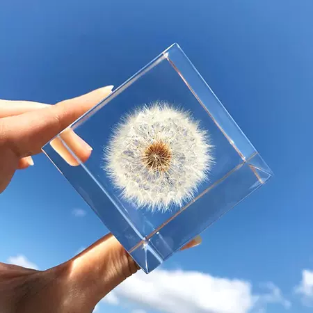 Dandelion Cube