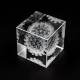 CRYSTAL VIRUS CUBE, Crystal Cube, Covid 19 Lighttight 3d Clear Charm Décor, Shelf Décor Best Virus Cube Gift For Biologist Student