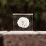 Dandelion Cube, paperweight, shelf sitter decor, room decoration, home decor, super clear