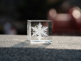 Winter snowflake cube, snow cube, paperweight, christmas snow home decor room decoration shelf sitter ambient builder decor